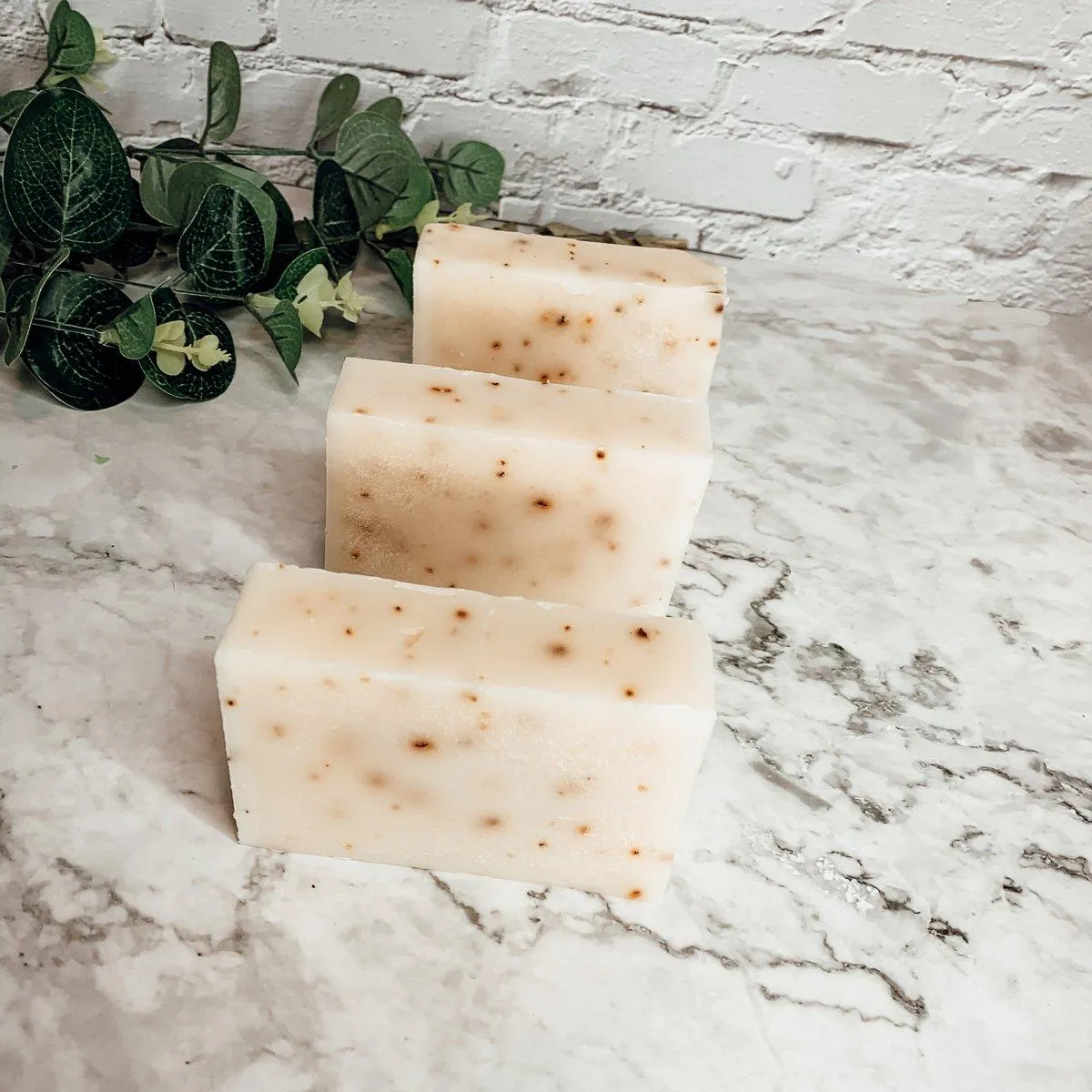 Aloe Eucalyptus by Gia Roma