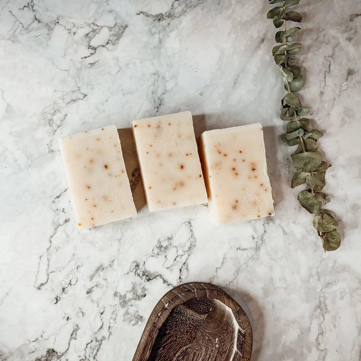 Aloe Eucalyptus by Gia Roma