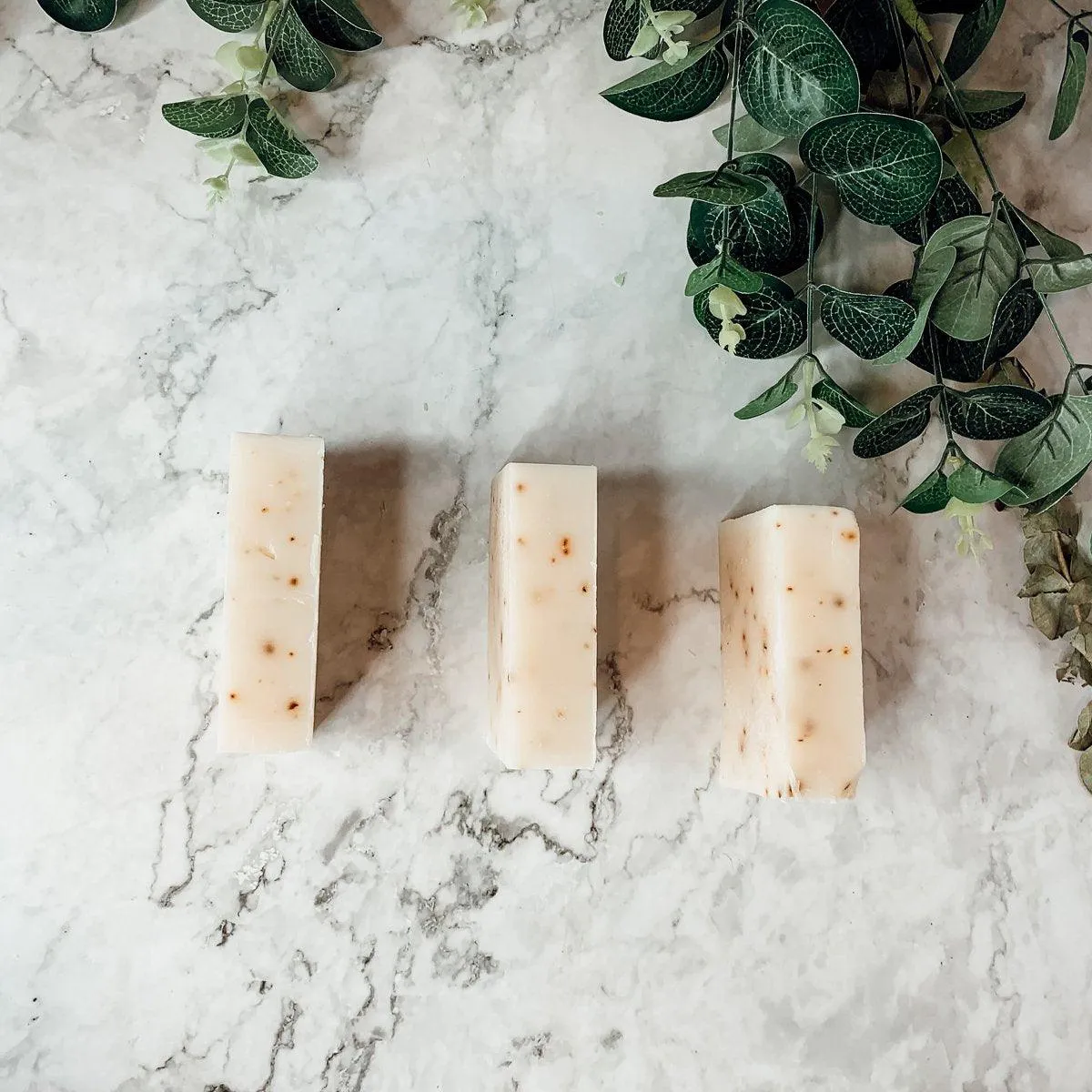 Aloe Eucalyptus by Gia Roma