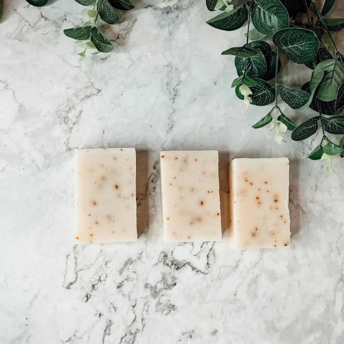 Aloe Eucalyptus by Gia Roma