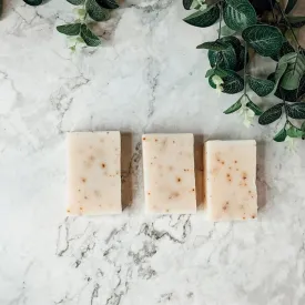 Aloe Eucalyptus by Gia Roma
