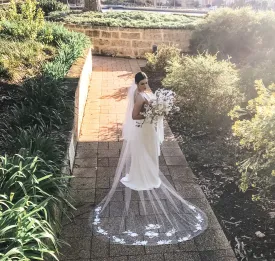Cecily Veil