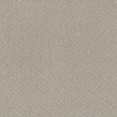 Chic Shades Residential Carpet