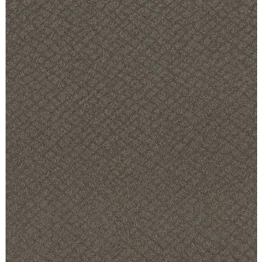 Chic Shades Residential Carpet