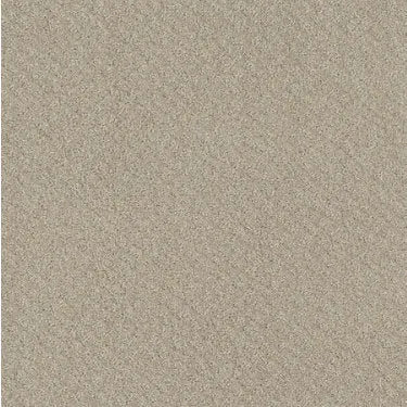 Chic Shades Residential Carpet